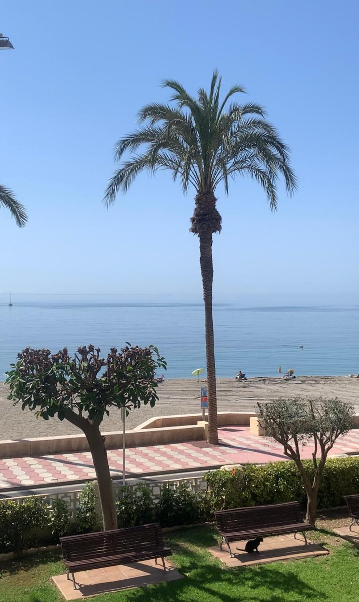 Brisas Del Mar Mediterraneo Aguadulce  Esterno foto